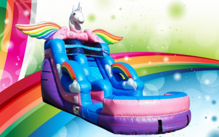 Magical Unicorn Slide (15 & under) 